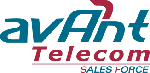 Avant Telecom Sales Force